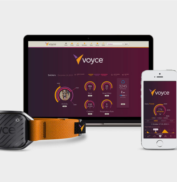 Voyce pet monitoring system