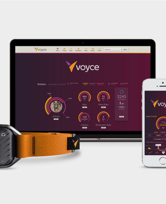 Voyce pet monitoring system