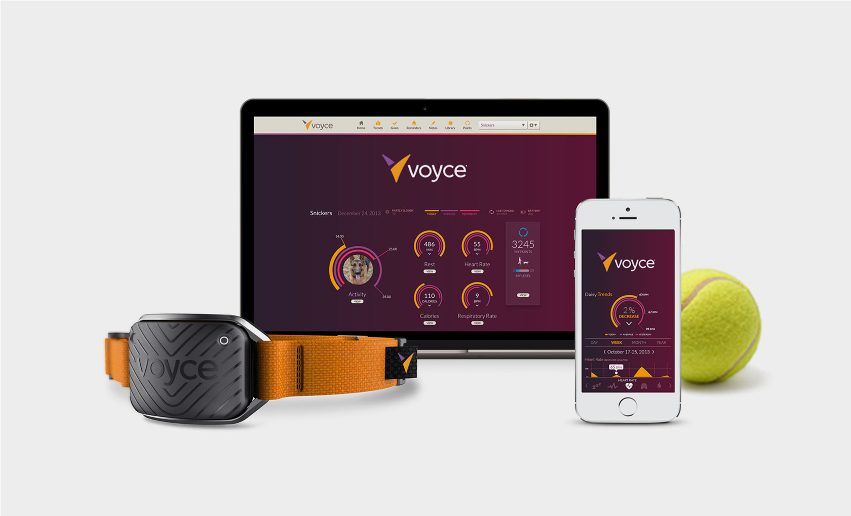 Voyce pet monitoring system