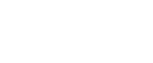 everi logo