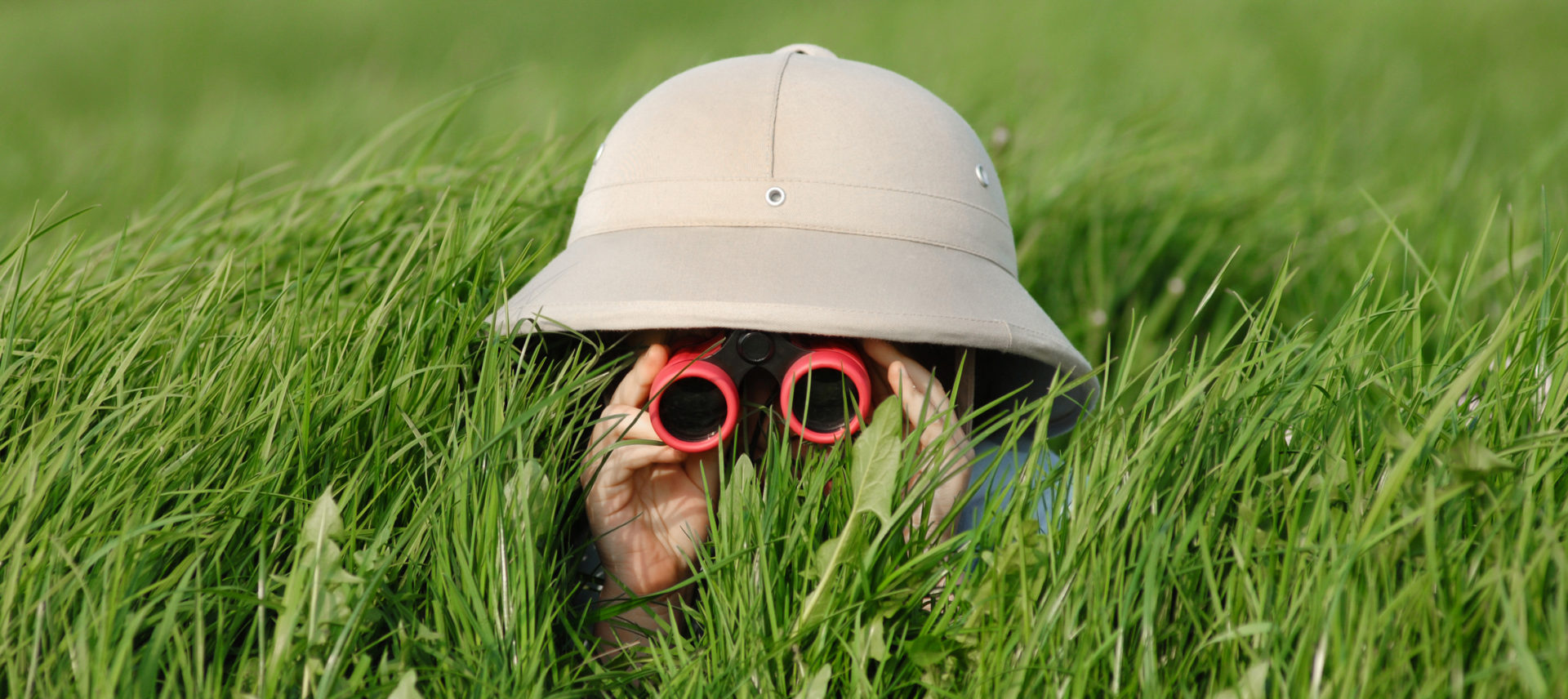 pith helmet and goggles in tall grass