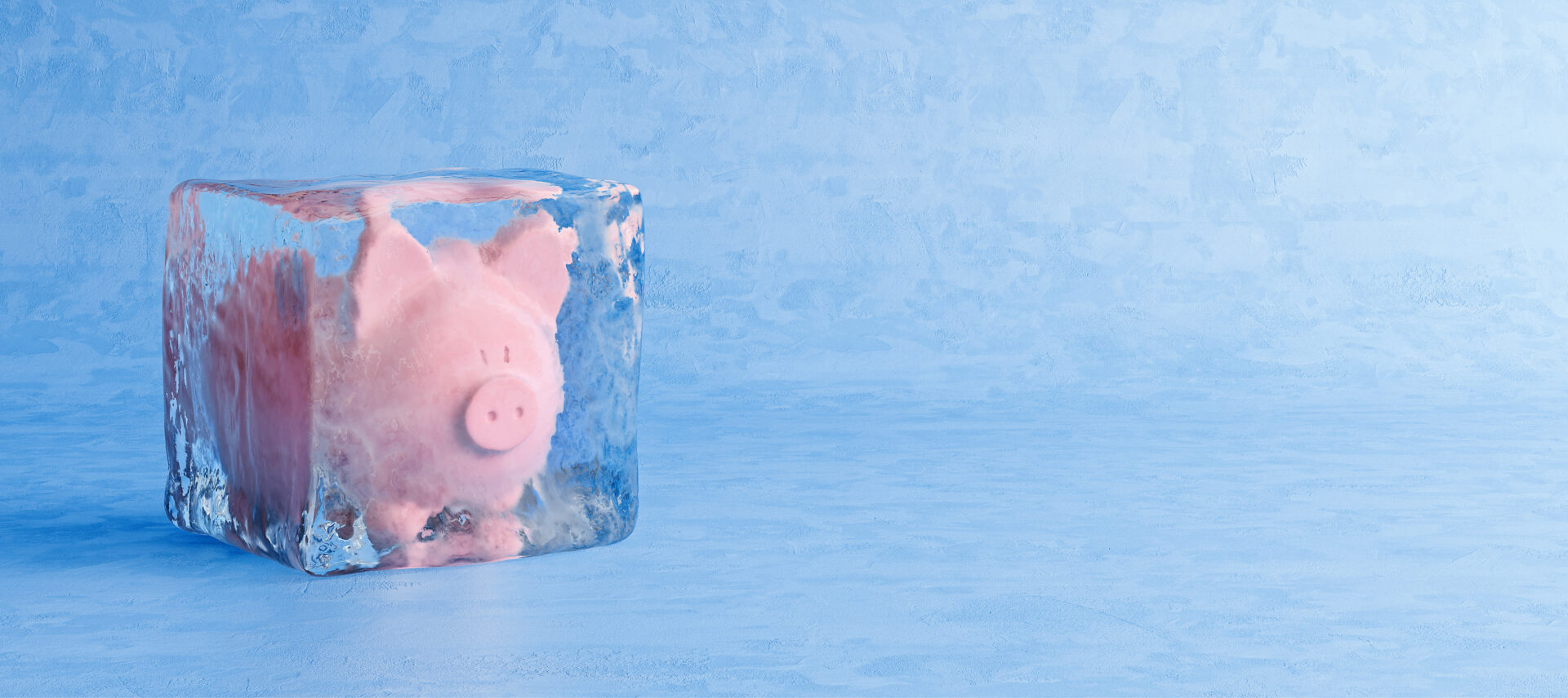 Piggy bank frozen in ice