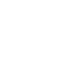 white flo logo